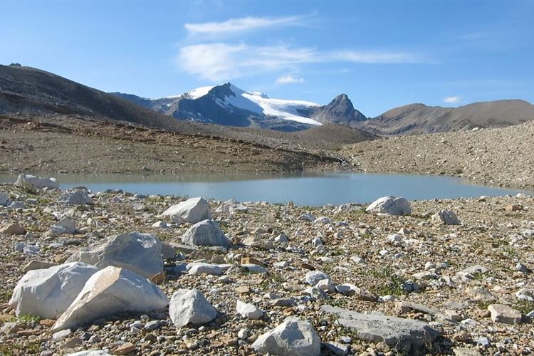 Canada Brit Col: Yoho, Iceline Trail, Small lake before descending to forest, Walkopedia